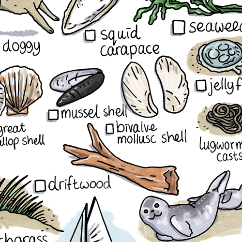 Spot these on the beach - scavenger hunt printable
