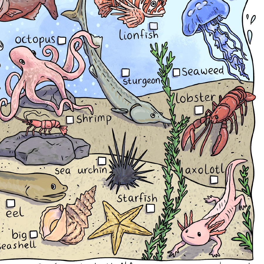 Spot these at the aquarium - scavenger hunt printable
