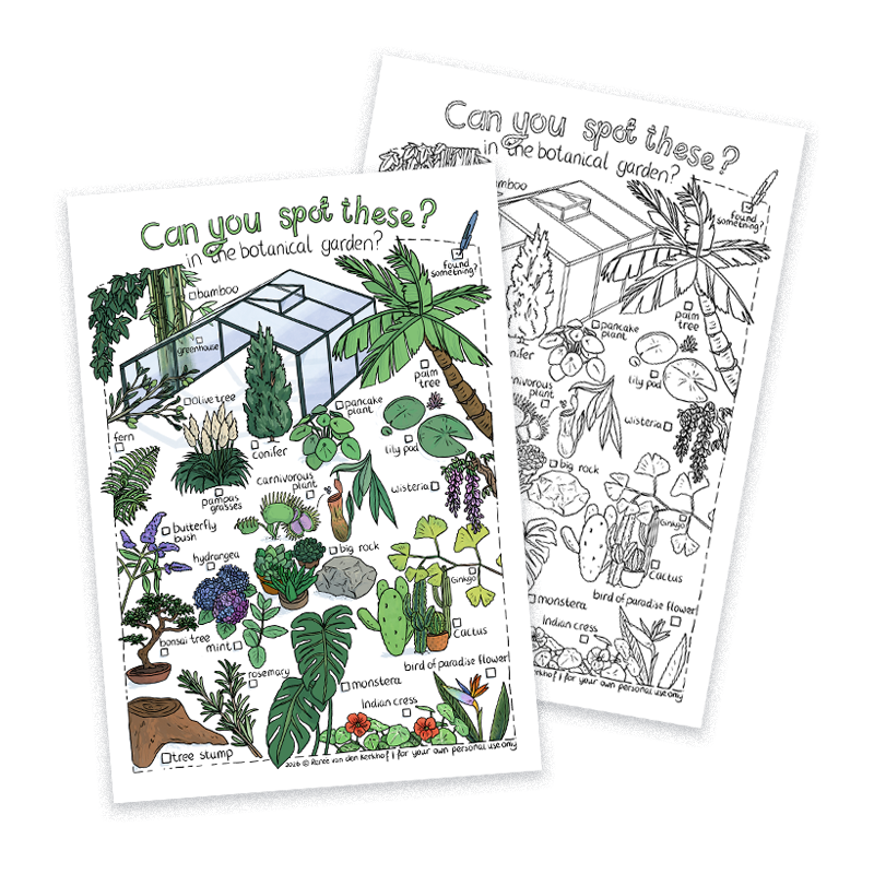Printable bingo, botanical garden illustrations with plants, trees and flowers, in colour and as a colouring page.