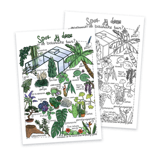 Spot jij deze in de botanische tuin? - speurtocht printable