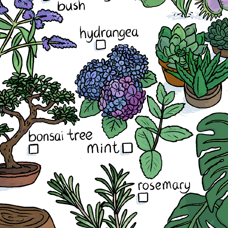 Detail of printable, plants and flowers from botanical garden bingo, illustrated.