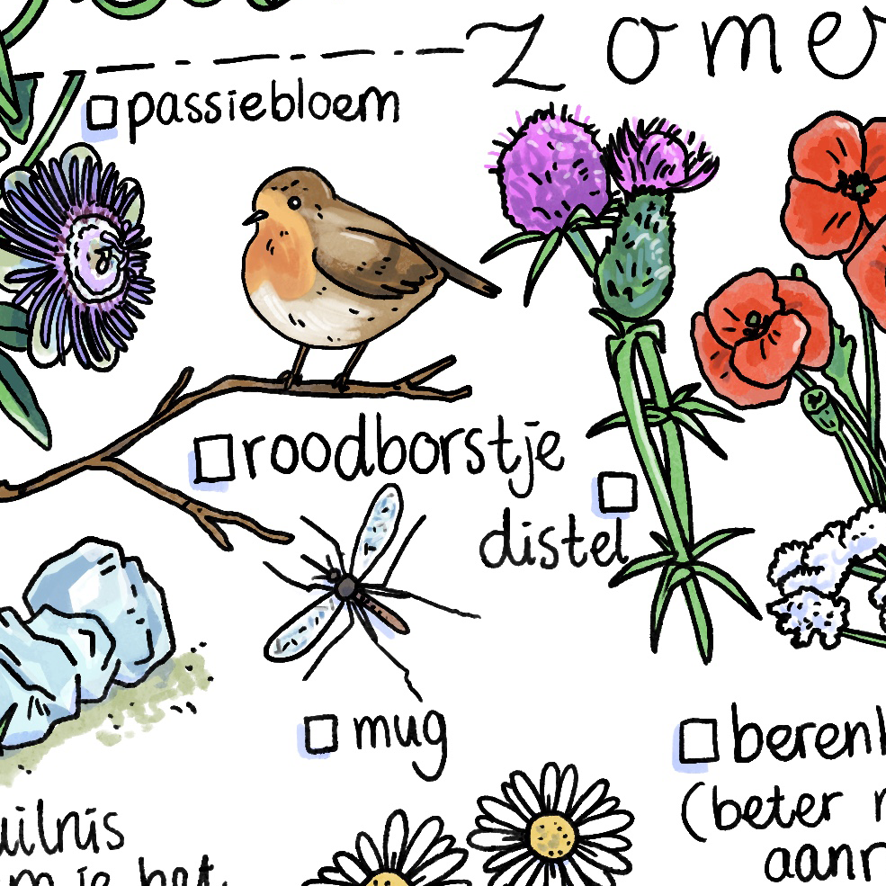 Wandeling in het bos - zomer - speurtocht printable