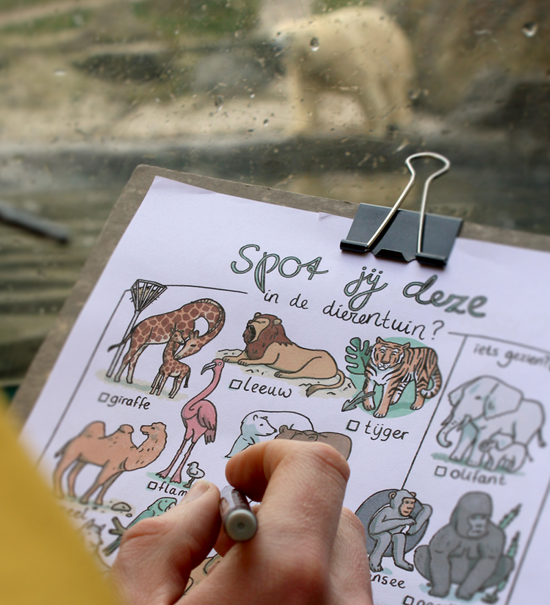 Dierentuin, printable spel om te spelen, kun jij alle dieren zoals ijsbeer vinden?