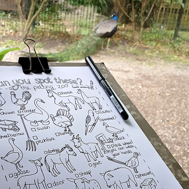 Peacock in petting zoo, printable bingo with illustrations about animals.