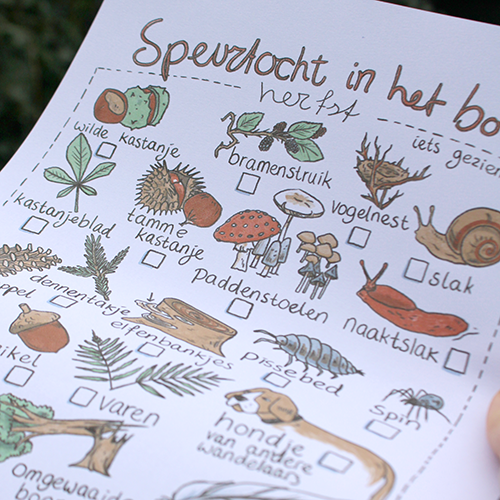 Wandeling in het bos - herfst - speurtocht printable